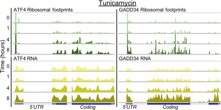 Figure 2—figure supplement 4.