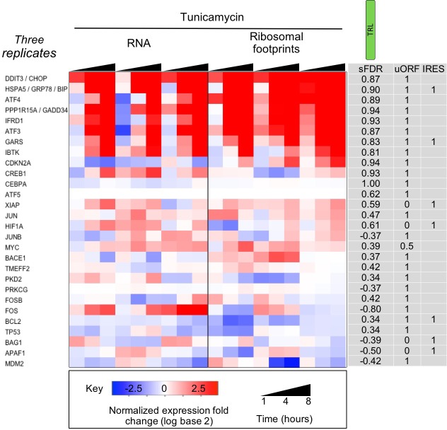 Figure 2—figure supplement 5.