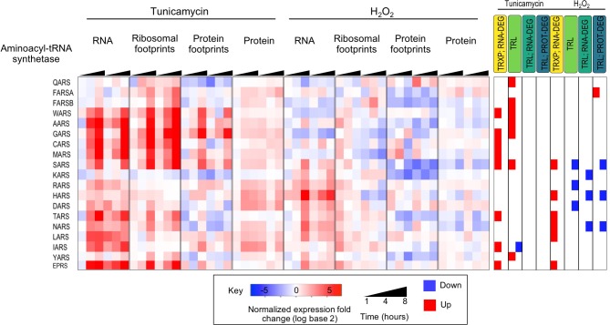 Figure 3—figure supplement 6.