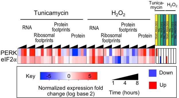 Figure 2—figure supplement 1.