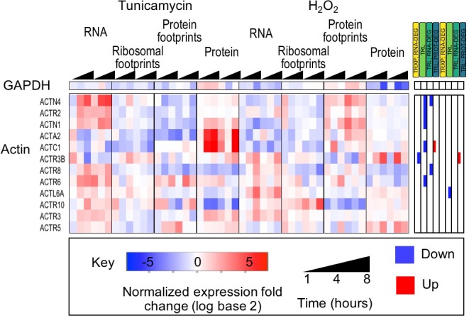 Figure 2—figure supplement 3.