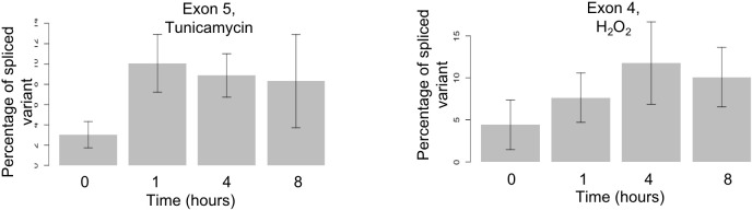 Figure 6—figure supplement 1.