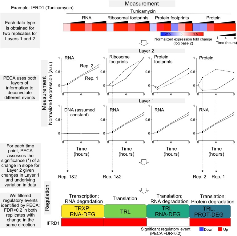 Figure 1—figure supplement 1.