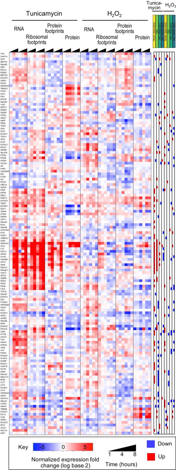 Figure 2—figure supplement 2.