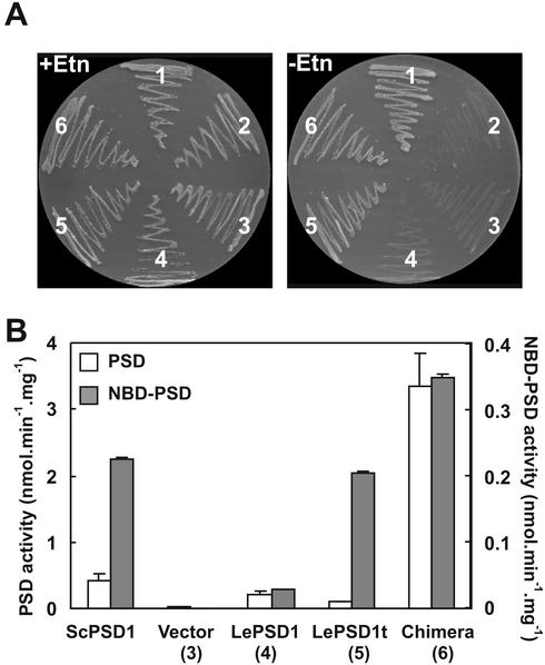 Figure 3.