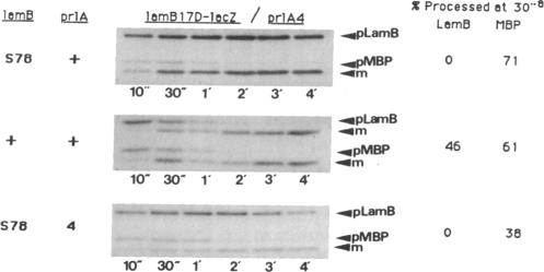 graphic file with name pnas00243-0225-a.jpg