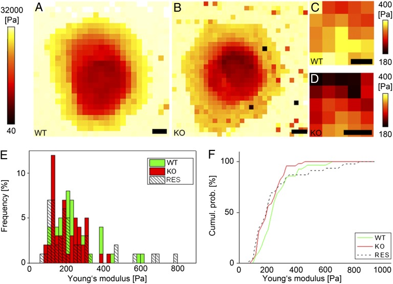 Fig. 4.