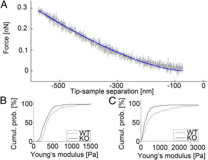 Fig. 3.