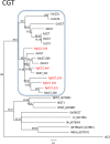 Fig 10