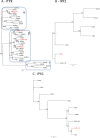 Fig 8
