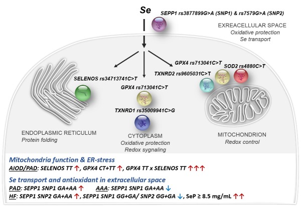 Fig 3