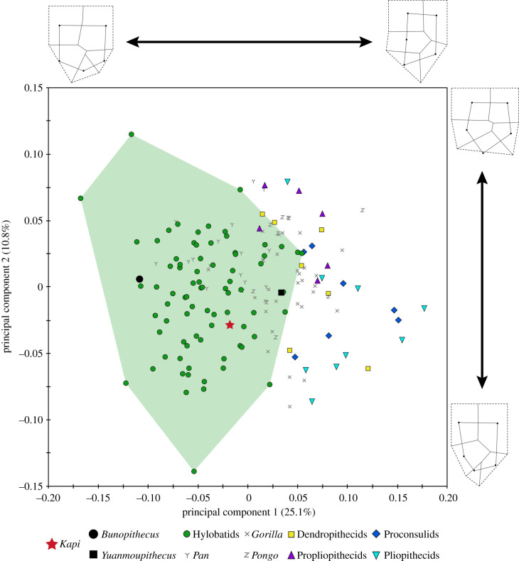 Figure 3.