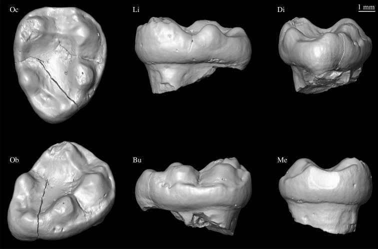 Figure 2.