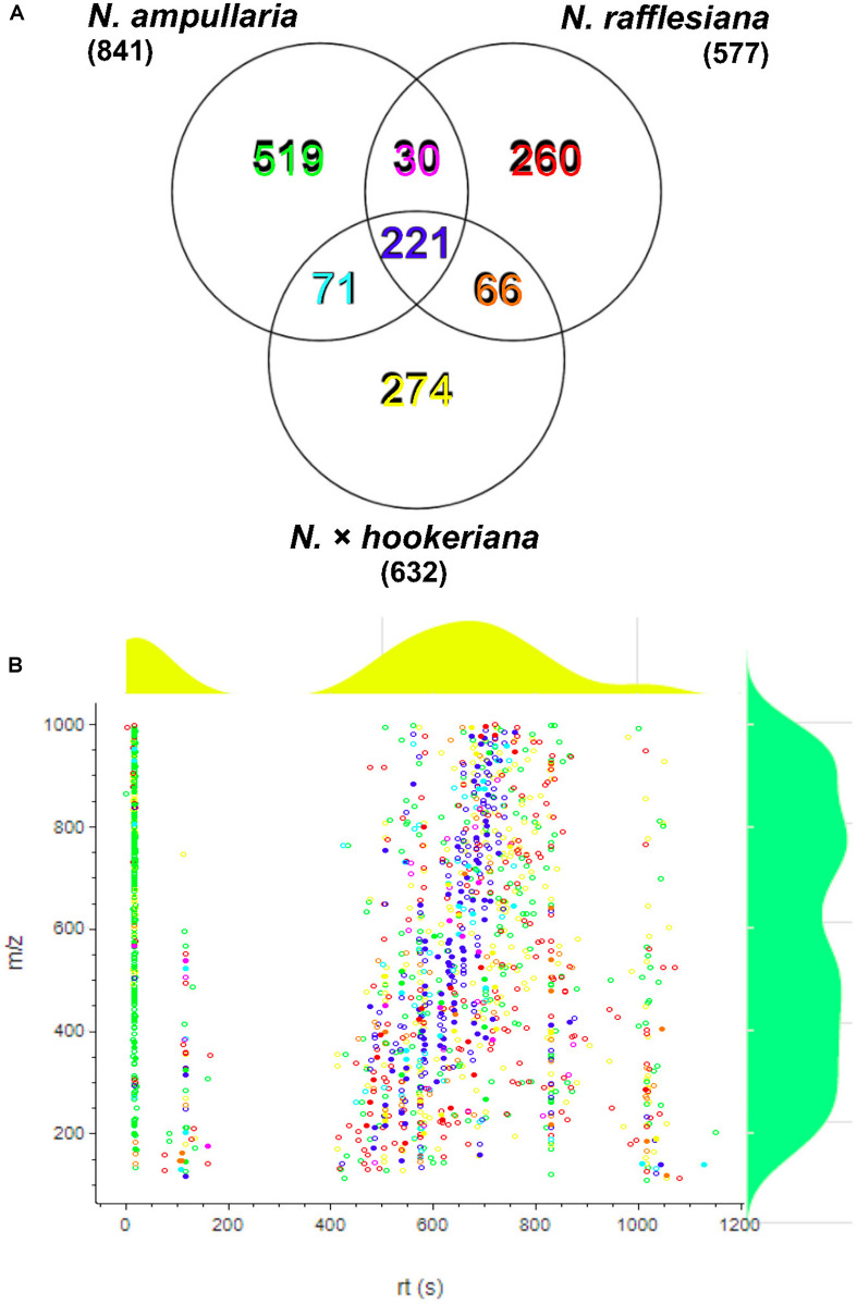 FIGURE 3