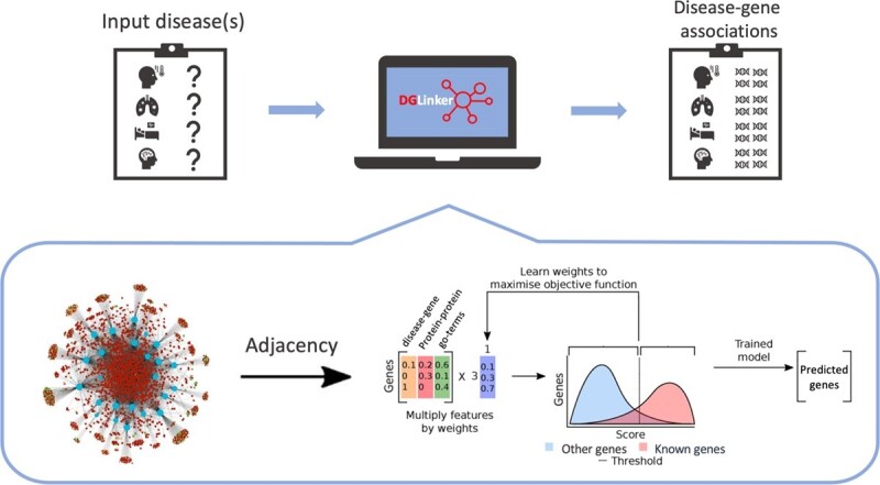 Graphical Abstract