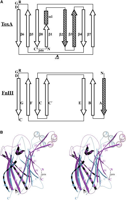 Figure 7.