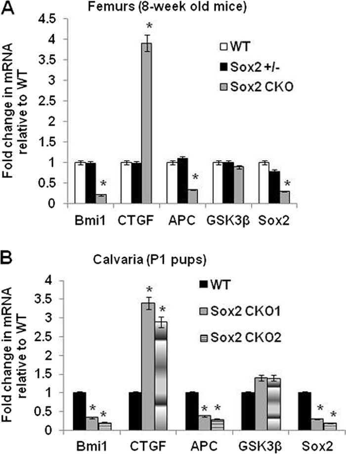 Fig. 8.