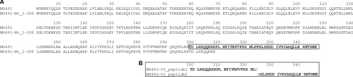 FIGURE 1.