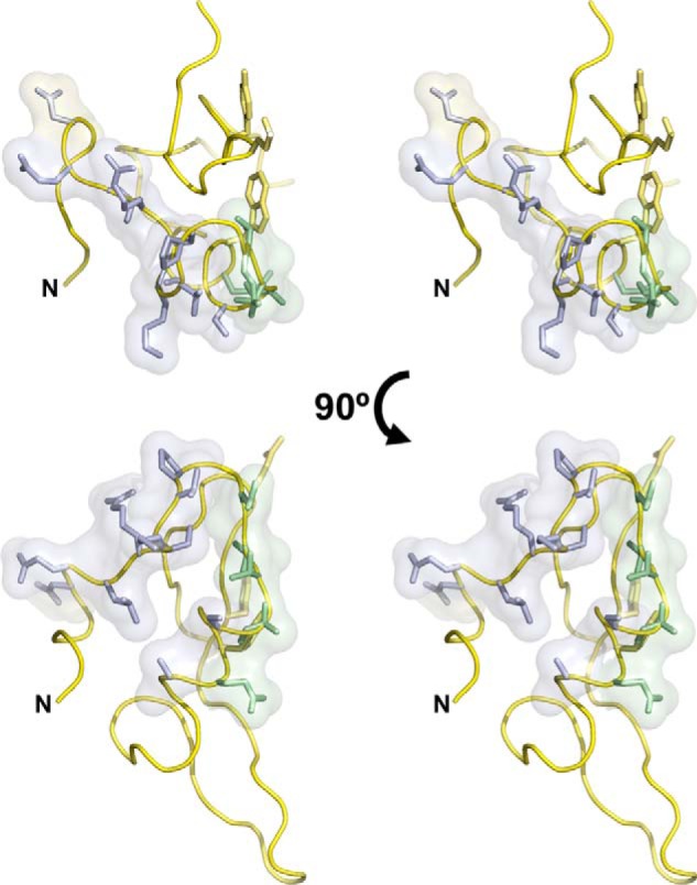 FIGURE 11.