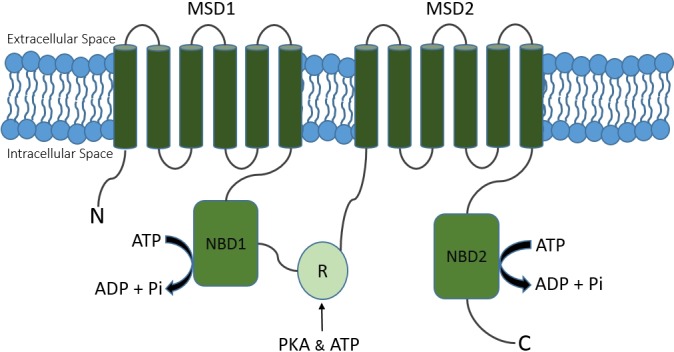 Fig. 2.