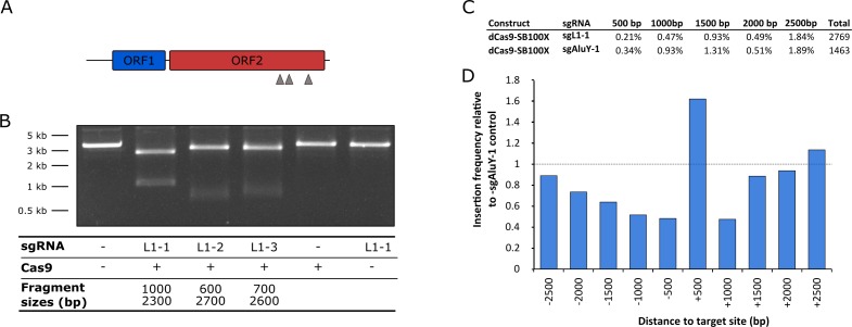 Figure 5—figure supplement 1.