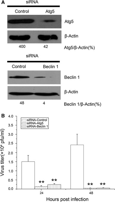 Fig. 4