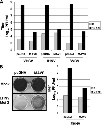 FIG. 4.