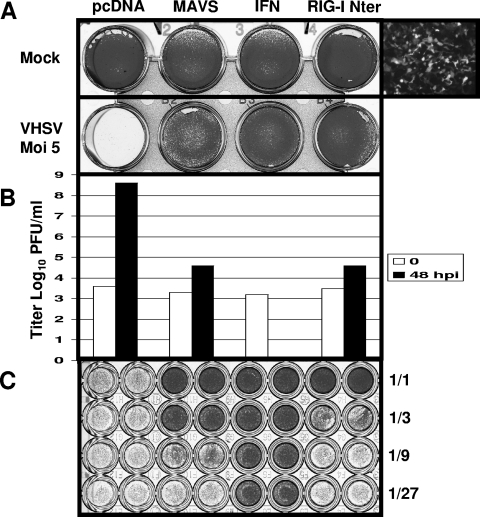 FIG. 7.