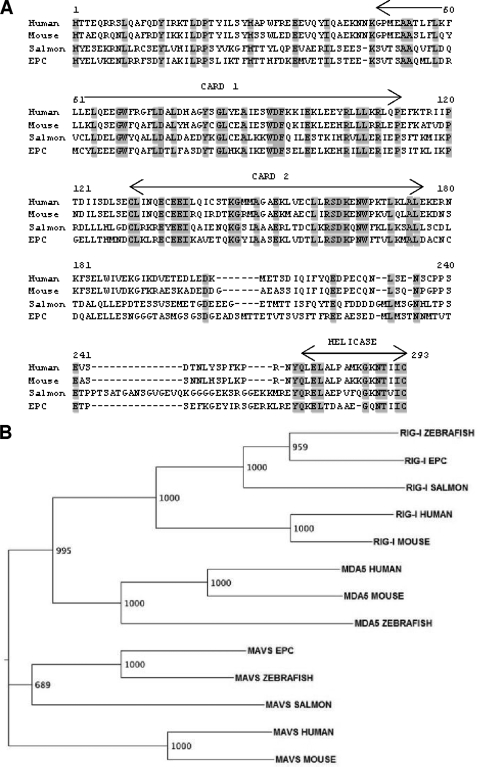 FIG. 6.