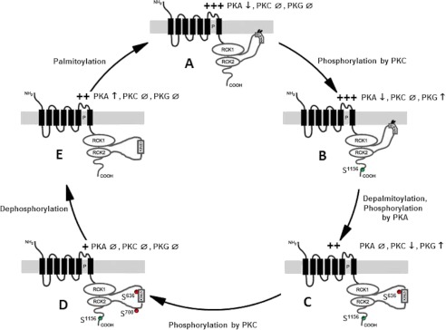 FIGURE 7.