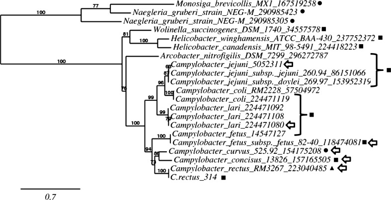 Fig. 5