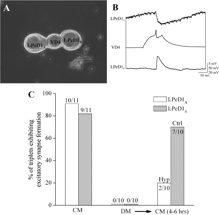 Figure 7.