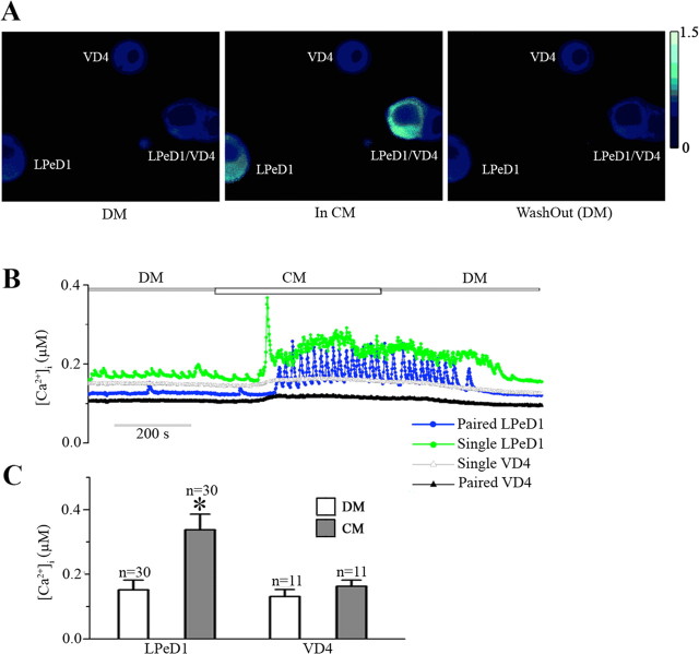 Figure 3.