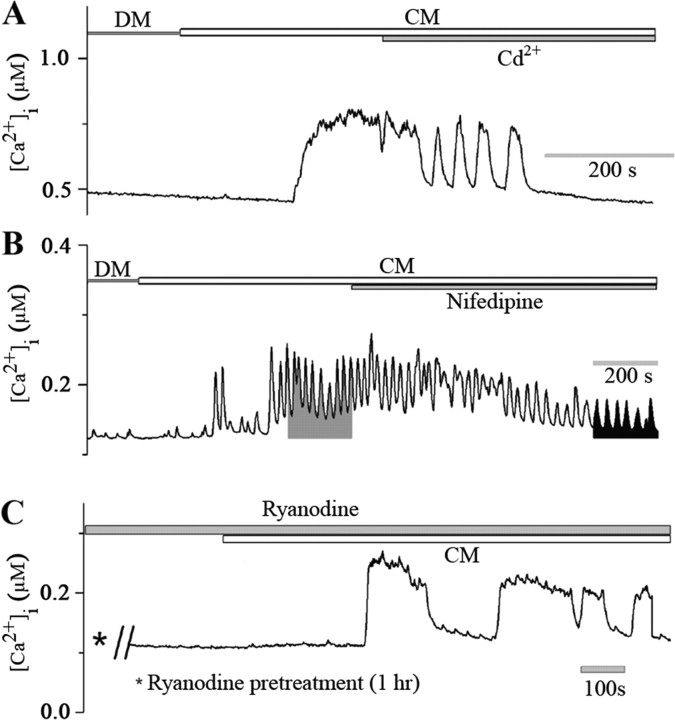 Figure 5.