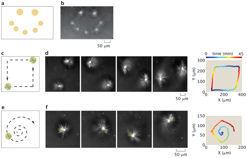 Figure 3: