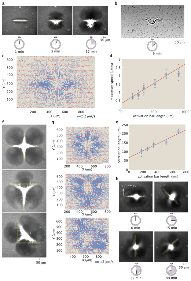 Figure 4: