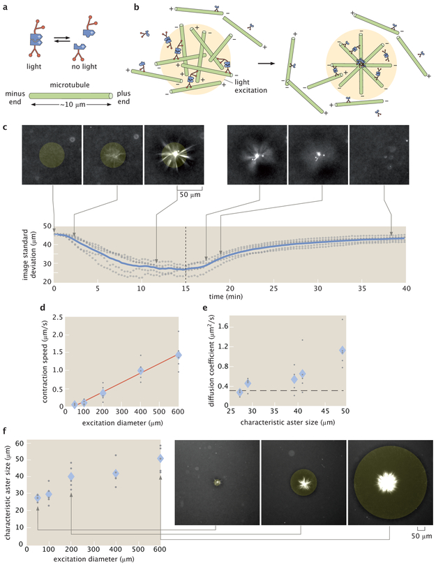 Figure 1: