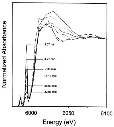 FIG. 7