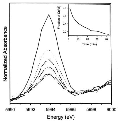 FIG. 8