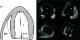 Fig. (2)
