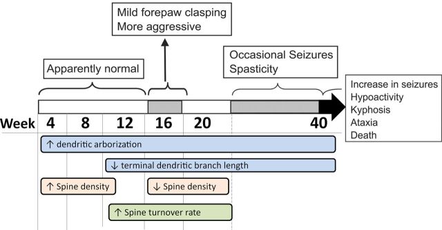 Figure 10.