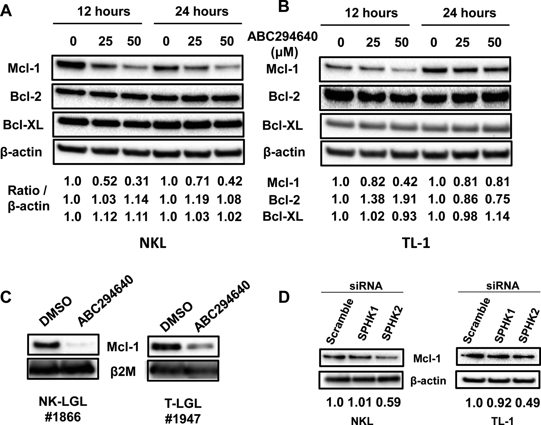 Figure 5: