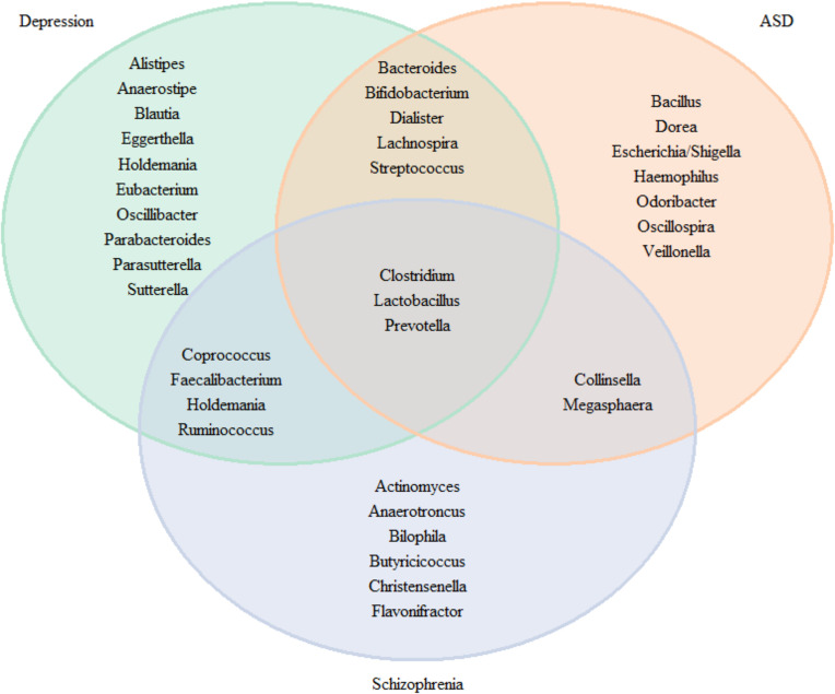 Figure 7