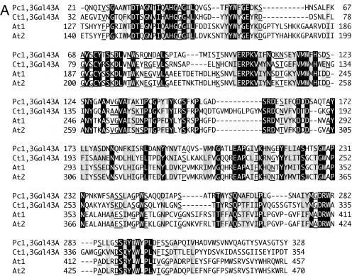 FIG.2.