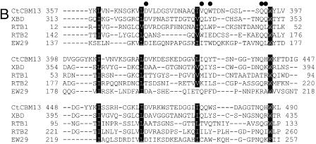 FIG.2.