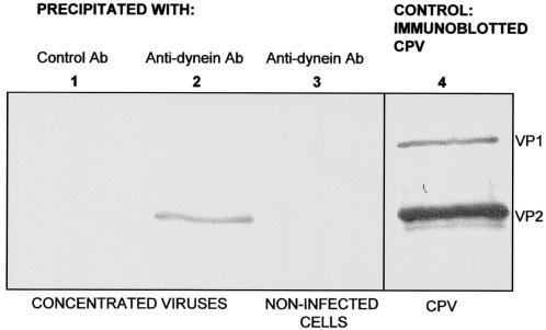 FIG. 8.