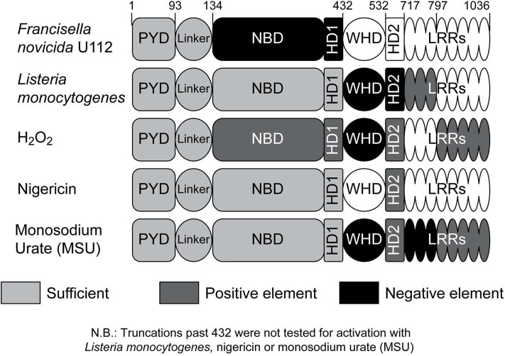 Figure 6