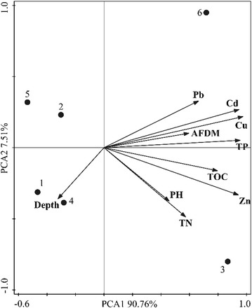 Fig. 2