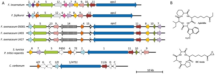 Figure 6