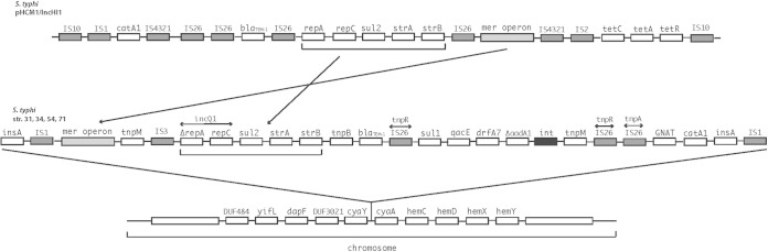 FIG 3